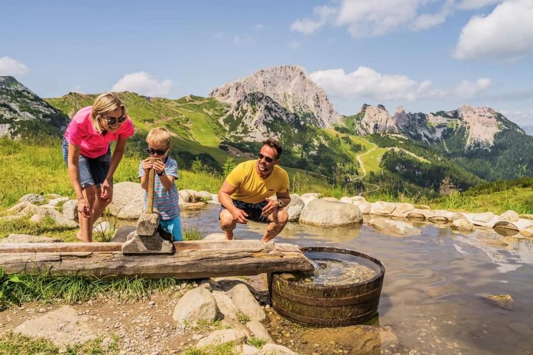 Apartment Wild - Im Skigebiet Gerlitzen & Ossiacher See Боденсдорф Экстерьер фото