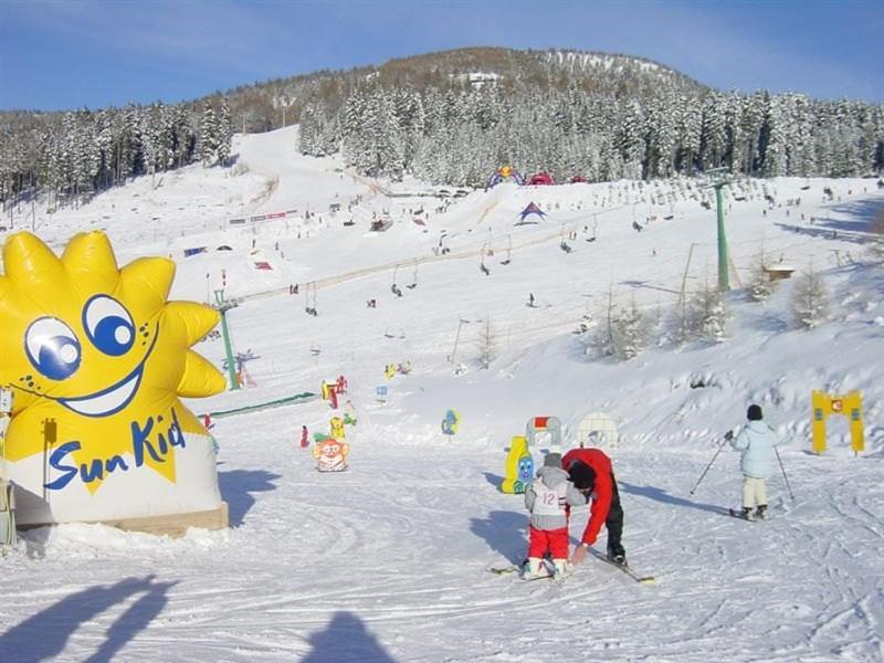 Apartment Wild - Im Skigebiet Gerlitzen & Ossiacher See Боденсдорф Экстерьер фото