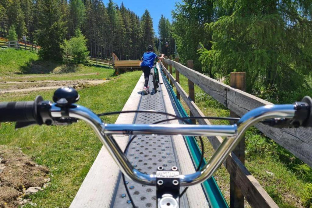 Apartment Wild - Im Skigebiet Gerlitzen & Ossiacher See Боденсдорф Экстерьер фото